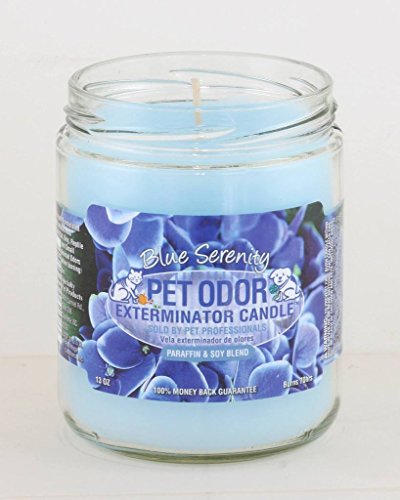 Pet Oder Exterminator Blue Serenity Candle