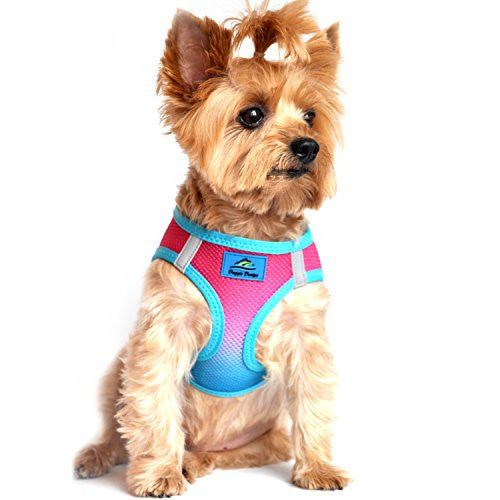 American River Dog Harness Ombre Collection - Sugar Plum SMALL