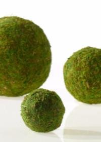 Natural Moss Kissing Ball in Green 4" Diameter