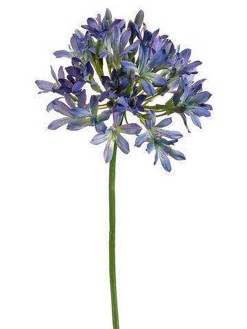 Silk Agapanthus Spray in Blue and Burgundy 7.5" Bloom x 35" Tall