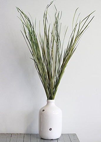 Preserved Wild Grass in Green 45" to 55" Tall 20 Pieces Per Bunch