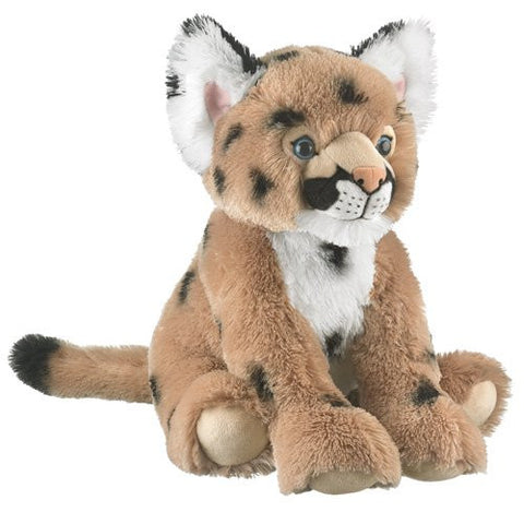 Cougar Cub 18"