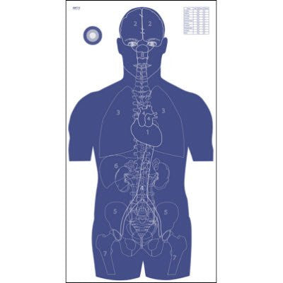 Blue Vital Anatomy Target 24" x 45"