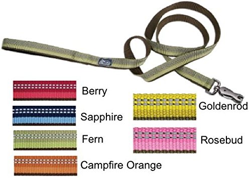 1" K9 Explorer Leash 6', Rosebud