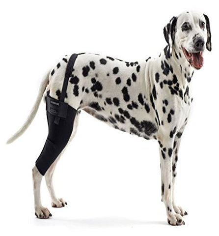 Kruuse Rehab Knee Protector - Medium, Right