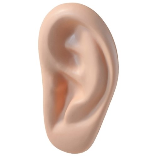 Ear