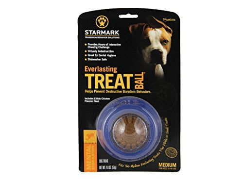 Everlasting Treat Ball, Medium