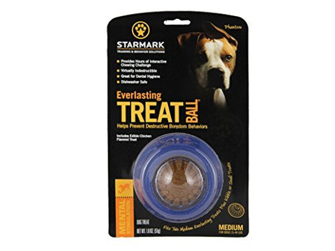Everlasting Treat Ball, Medium