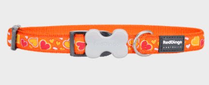 Breezy Love Orange Dog Collars,Medium/Large