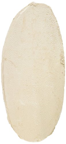 E2 Cuttlebone Natural 6 Pack