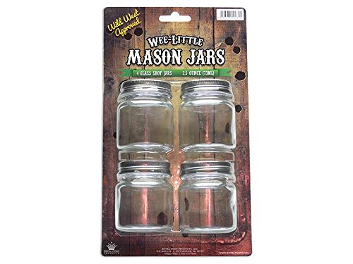 Wee-Little 4 Pack Mason Jar Shot Glasses (Glass)