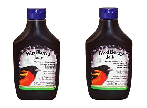 Songbird Essentials BirdBerry Jelly, 20 oz.