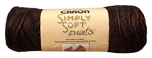 Caron Simply Soft Yarn - Paints Sticks & Stones 204 Yards 4 OZ