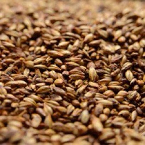 Briess Caramel Malt 80L - 1 lb Crushed