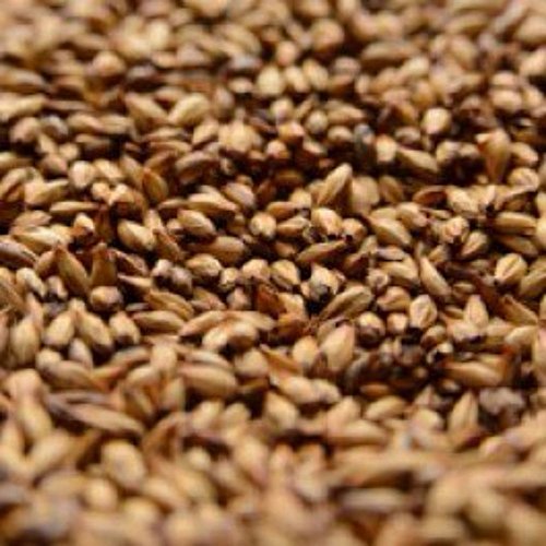Briess Caramel Malt 120L - 1 lb Crushed