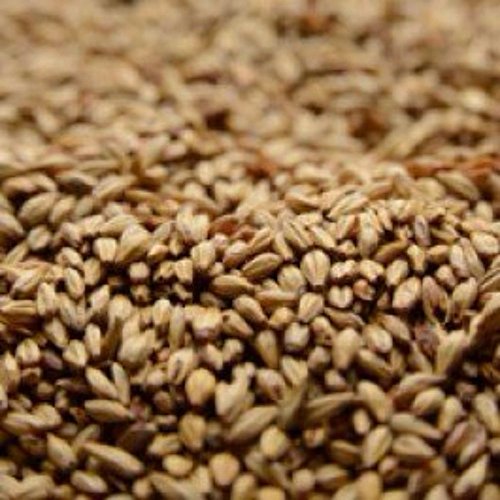 Briess Caramel Malt 20L - 1lb Crushed