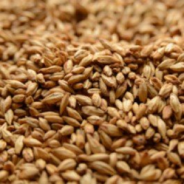 Briess Cherrywood Smoked Malt - Maillard Malts - (Crushed), 1 lb