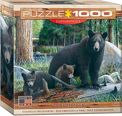 New Discoveries 1000 pc 8x8 inches Box, Puzzle
