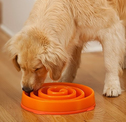 Slo-Bowl Coral Reg 12"