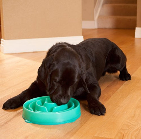 Slo-Bowl Drop Regular 12"