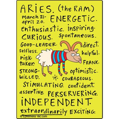 Aries nice Clayboys - Rectangular Magnet