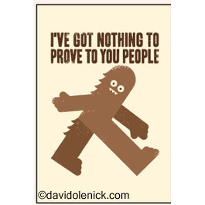 I've got nothing to prove to you people - Rectangular Magnet