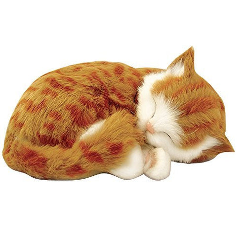 Perfect Petzzz Orange Tabby Kitten