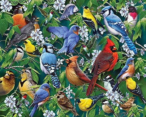 Birds & Blossoms Jigsaw Puzzle (1000 Piece)