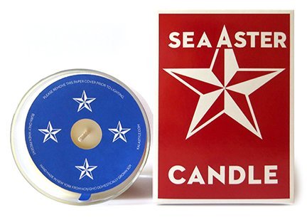 Swedish Dream Sea Aster Candle 10 oz