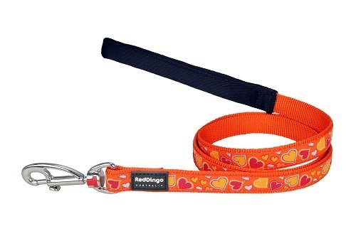 Design Dog Lead, Breezy Love Orange - Medium