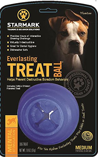 Starmark Pet Products-Everlasting Treat Ball- Blue Medium/1 Pack