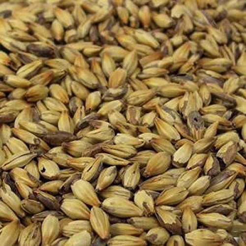 Briess Rye Malt - 1 lb Unmilled