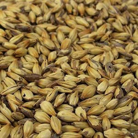 Briess Rye Malt - 1 lb Unmilled