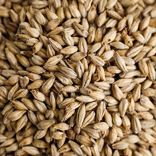 Briess Brewers Malt (2-Row) - 5 lb Bag