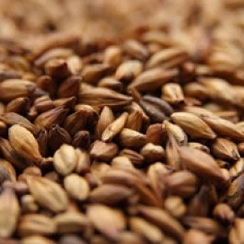Weyermann Caramunich II Malted Grain - Maillard Malts - (Whole), 1 lb
