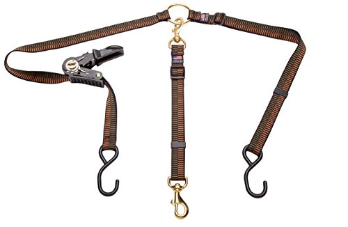 Truck Bed Tether, Ratchet - Step 2 Brown