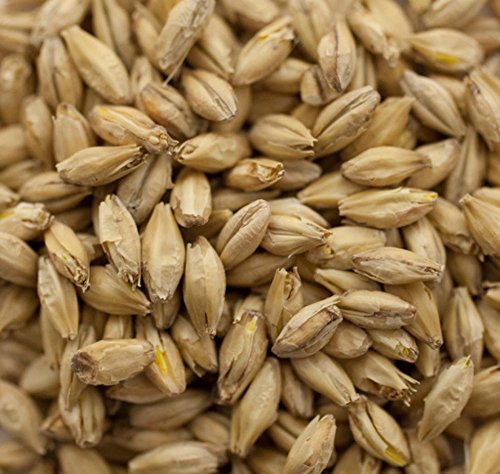 Malt - Great Western - 2-Row Pale - 10 lb