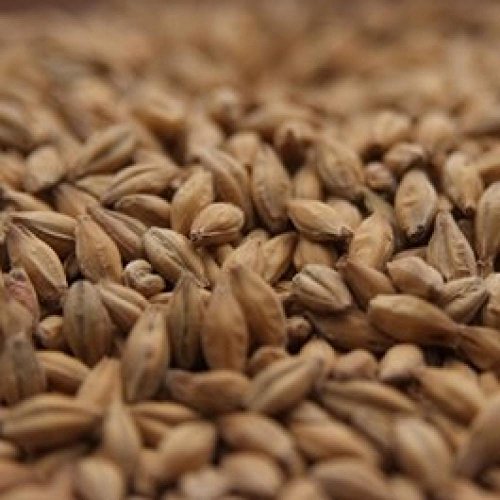 Simpsons Peated Malt - 1 lb Unmilled