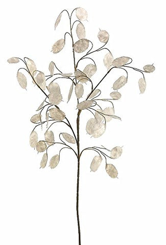 Soft Plastic Lunaria Silver Dollar Spray 1-1.5" Blooms x 30" Tall