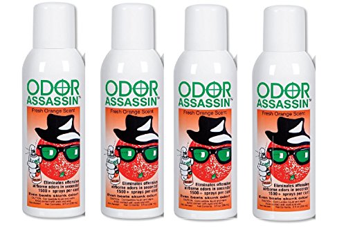 Odor Assassin Fine-Mist Spray - Net Weight 6oz, Fresh Orange