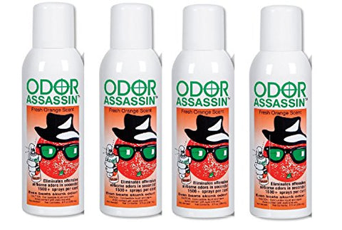 Odor Assassin Fine-Mist Spray - Net Weight 6oz, Fresh Orange