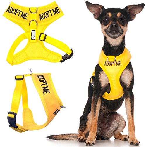 Friendly Dog Collars- Adopt Me XS Vest Harness