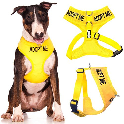 Friendly Dog Collars- Adopt Me Large Vest Harness