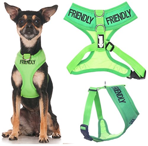 Friendly Dog Collars- Friendly XS Vest Harness