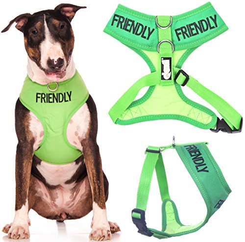 Friendly Dog Collars- Friendly Large Vest Harness