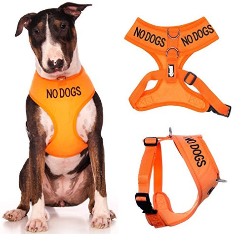 Friendly Dog Collars- No Dogs Large Vest Harness