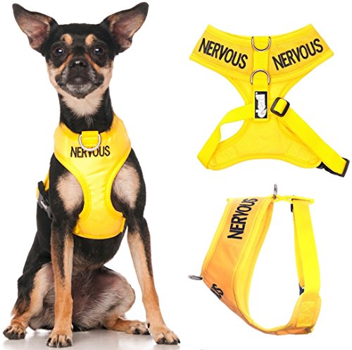 Friendly Dog Collars- Nervous XS Vest Harness