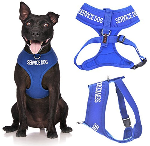Friendly Dog Collars- Service Dog Large Vest Harness