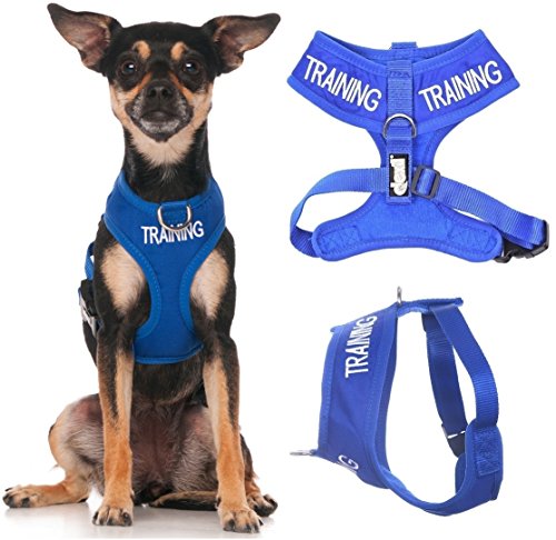 Friendly Dog Collars- Training XS Vest Harness
