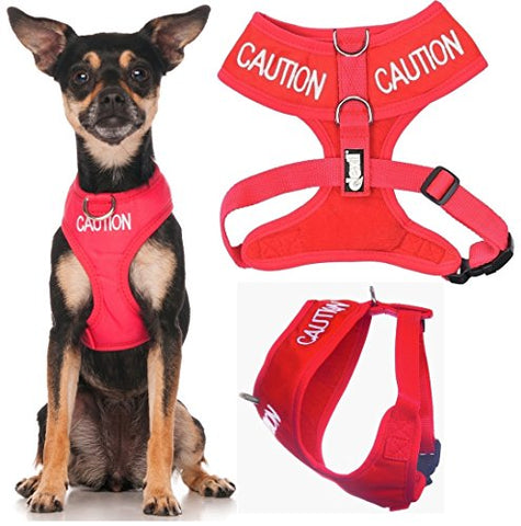 Friendly Dog Collars- Caution XS Vest Harness